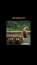 کافه رامع4